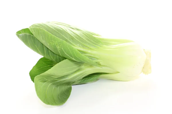 Πρώτες τραγανή pak choi — Φωτογραφία Αρχείου