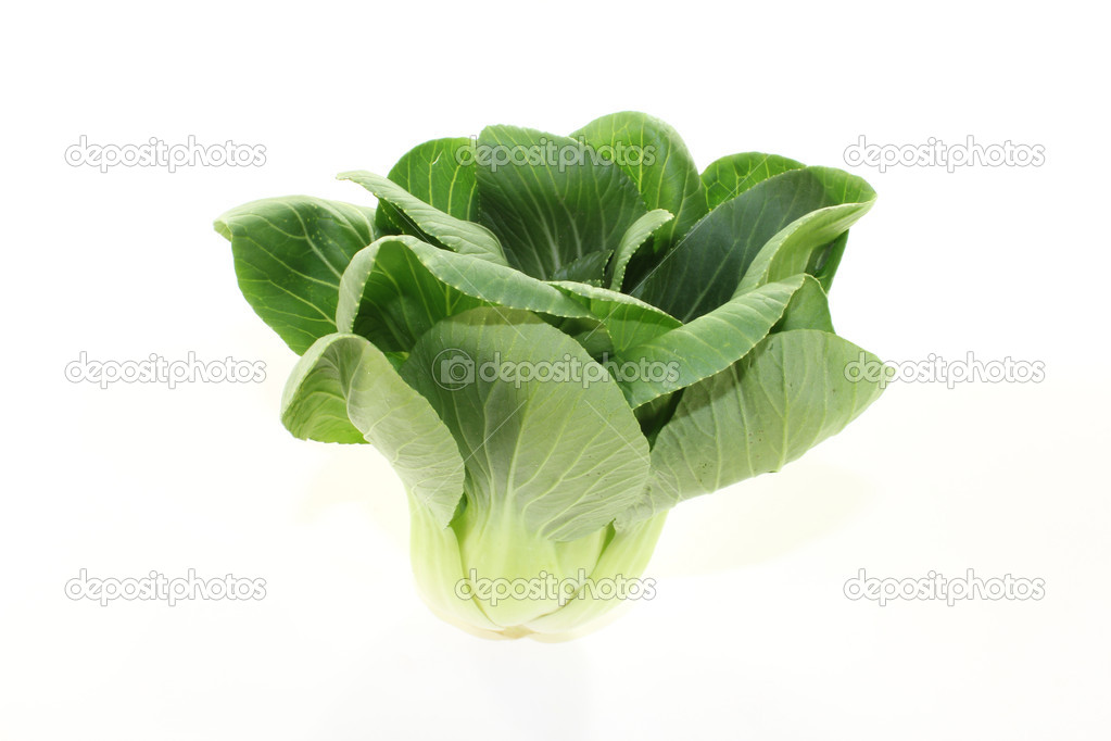 crisp pak choi