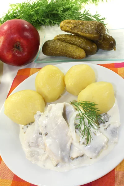 Cream marinated herring with apple — Stok Foto