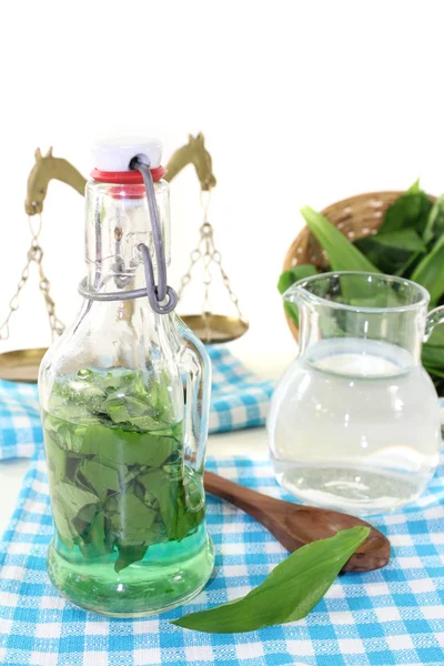 Wild garlic tincture with scale — Stock Photo, Image