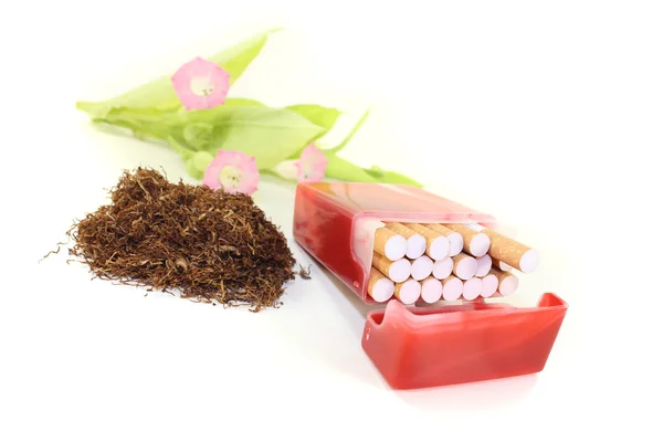 Tabaco con estuche de cigarrillos y hojas — Foto de Stock