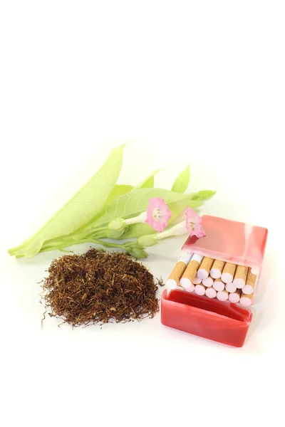 Tobacco with cigarettes case, leafs and blossoms — Stock Photo, Image