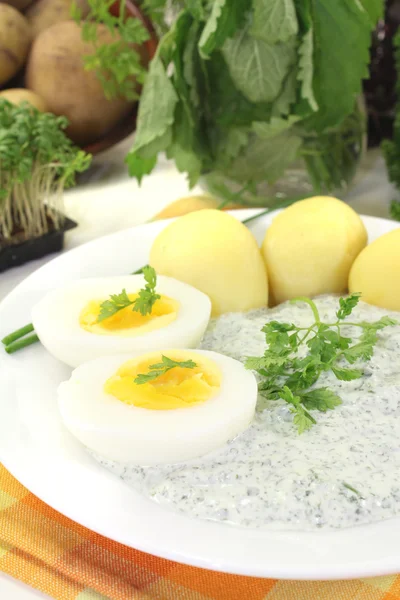 Frankfurt green Sauce with chervil — Stock Photo, Image