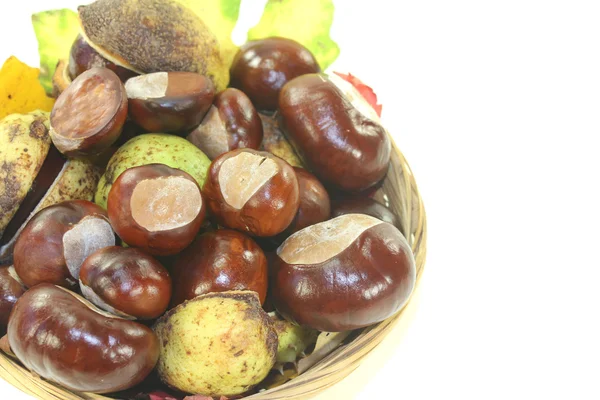 Castanhas de cavalo em uma cesta — Fotografia de Stock