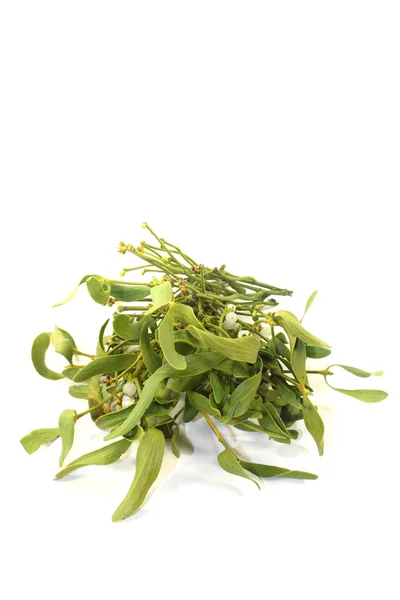 Mistletoe verde com bagas — Fotografia de Stock