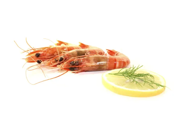 Three Shrimp with lemon and dill — Stock Photo, Image