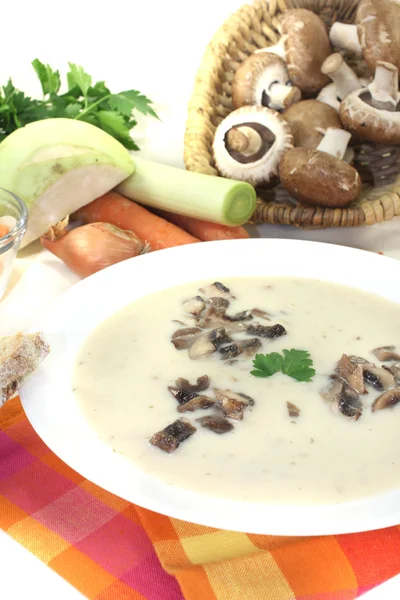 Veal cream soup — Stock Photo, Image