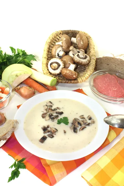 Sopa de creme de vitela com salsa — Fotografia de Stock