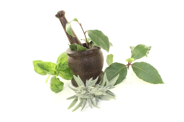 Laurel, sage and basil with mortar — Stock Photo, Image