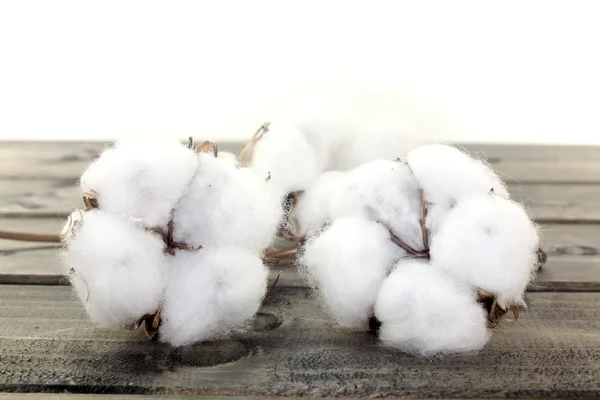 Cotton on wood — Stock Photo, Image