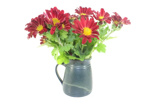 Chrysanthemums in a vase — Stock Photo, Image