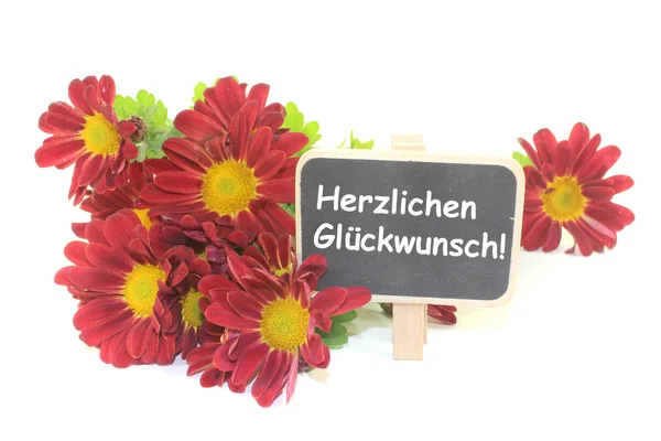 Red Chrysanthemums with board — Stock Photo, Image