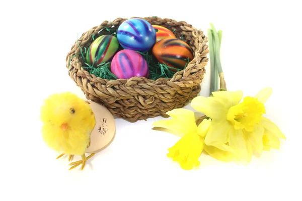 Easter Basket with chick and eggs — Stock Photo, Image