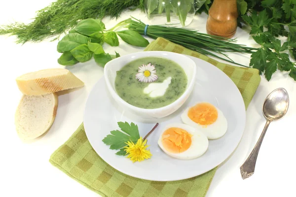Fresh herbs soup with a dollop of cream — Stock Photo, Image