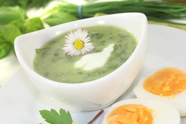 Herbs soup with eggs — Stock Photo, Image