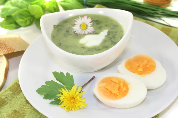 Grüne Kräutersuppe mit Eiern — Stockfoto