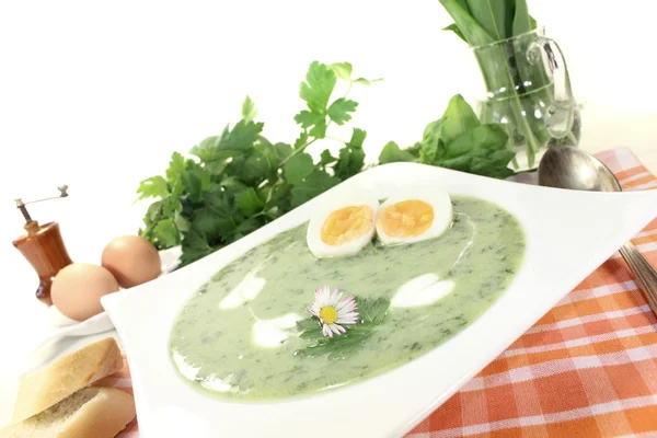 Fresh herbs soup with eggs — Stock Photo, Image