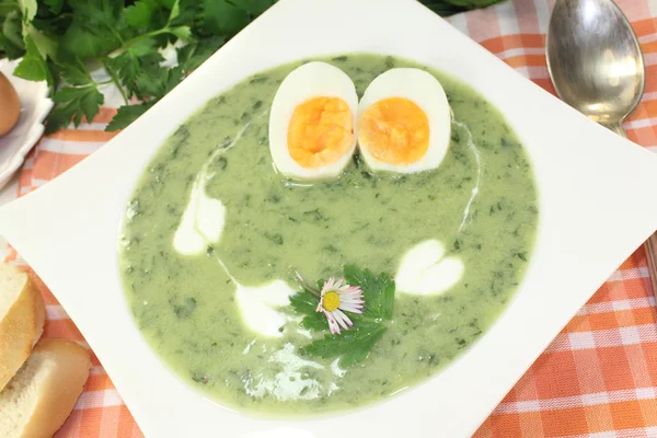 Green herbs soup with eggs — Stock Photo, Image