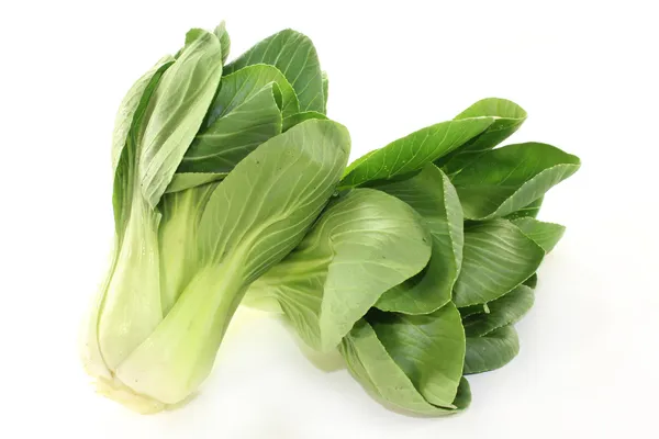 Pak choi. — Foto de Stock