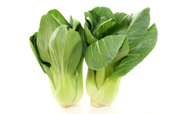 Pak choi. — Foto de Stock