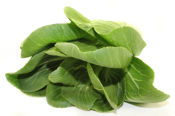 Pak choi. — Foto de Stock