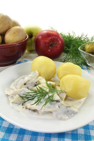 Cream herring — Stock Photo, Image