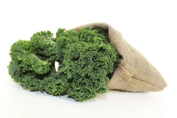 Kale — Stock Photo, Image