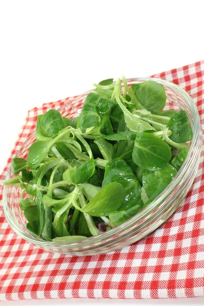 Corn salad — Stock Photo, Image