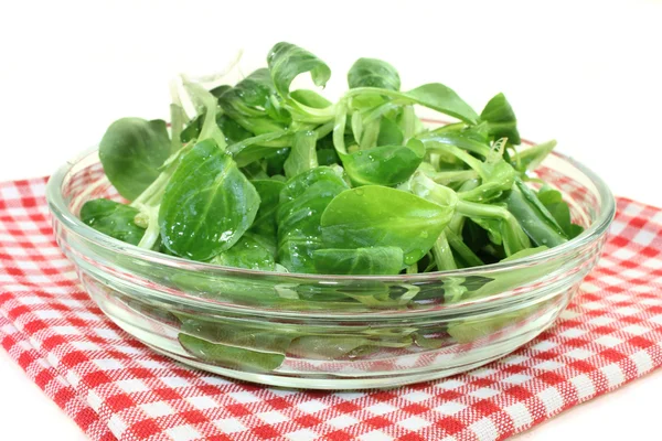 Ensalada de maíz — Foto de Stock