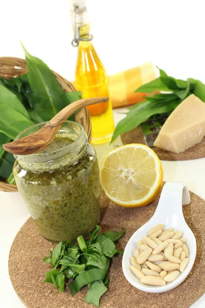 Vild vitlök pesto — Stockfoto