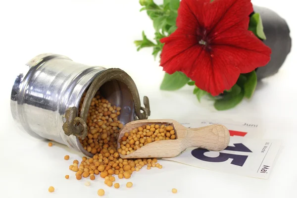 Slow-release fertilizer — Stock Photo, Image