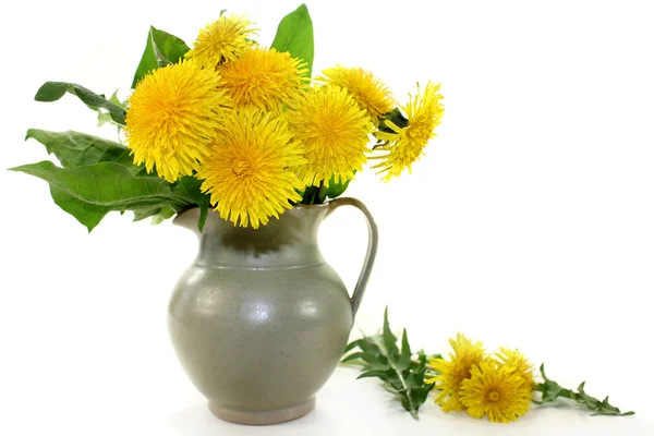 Dandelions — Stock Photo, Image