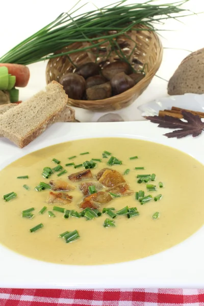 Sopa de castaño dulce — Foto de Stock