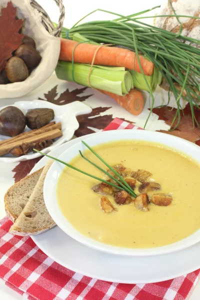 Sopa de castaño dulce — Foto de Stock