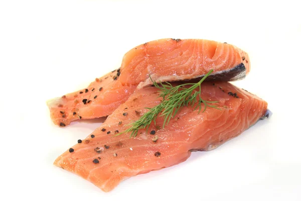 Salmon — Stock Photo, Image