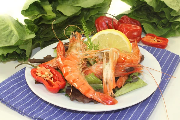 Camarones tigre negro — Foto de Stock