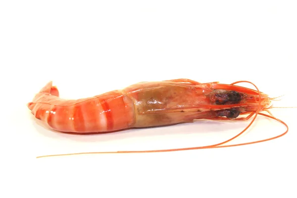 Black Tiger Shrimp — Stock Photo, Image