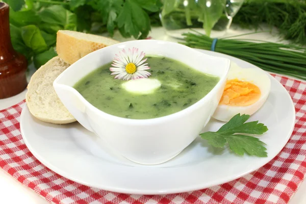 Sopa de hierbas — Foto de Stock