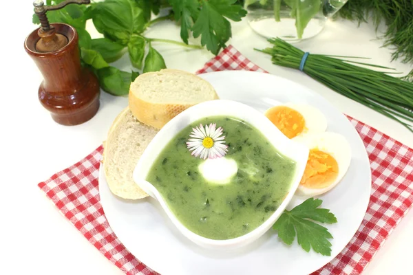 Herb soup — Stock Photo, Image