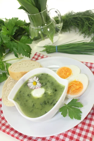 Βότανο σούπα — Φωτογραφία Αρχείου