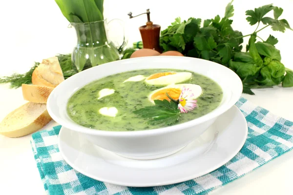 Herb soup — Stock Photo, Image