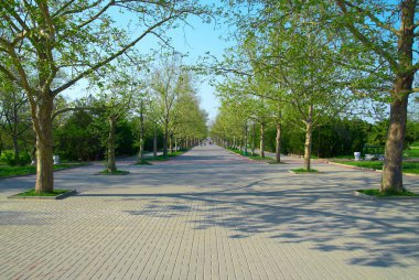 yeşil park