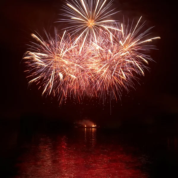 화려 한 휴일 불꽃놀이 — 스톡 사진