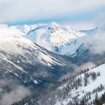 Pinheiros de inverno em montanhas