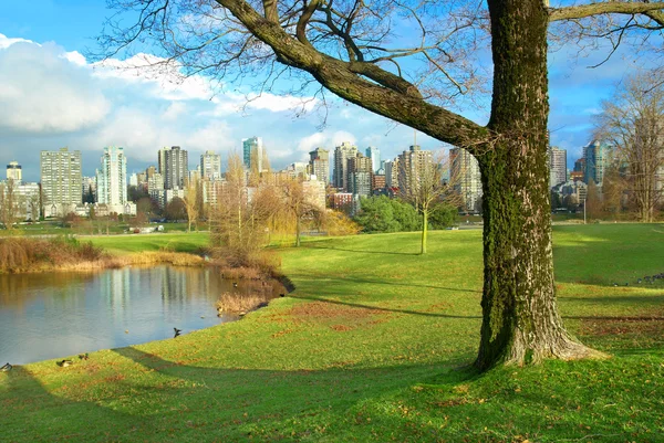 Green park near sea front — Stock Photo, Image