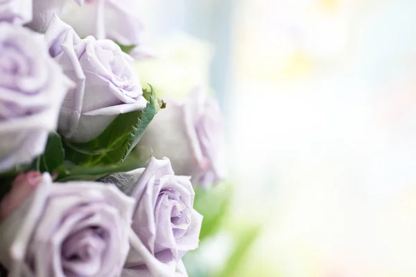 Bunch of beautiful roses — Stock Photo, Image