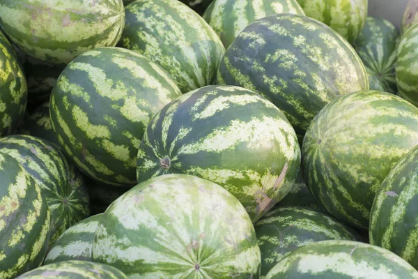 Grön vattenmelon — Stockfoto