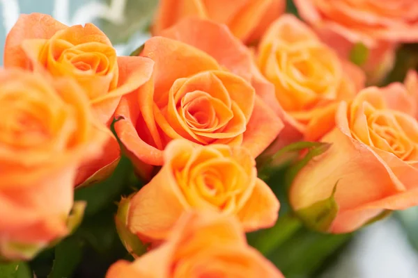 Bunch of beautiful roses — Stock Photo, Image