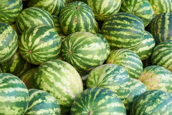 Zöld görögdinnye — Stock Fotó