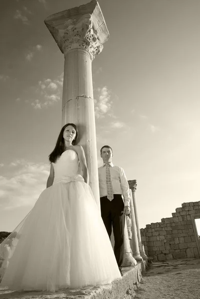 Hermosa pareja de boda — Foto de Stock